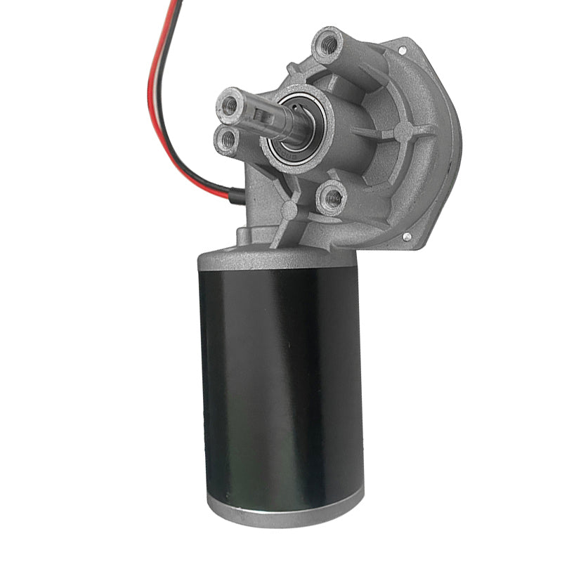 Double Ball Bearing 63mm 12V 24V 36V 48V Forward And Reverse 60kg.cm Electrical 80W 60W Worm Gear Brushed Worm Gear DC Motor