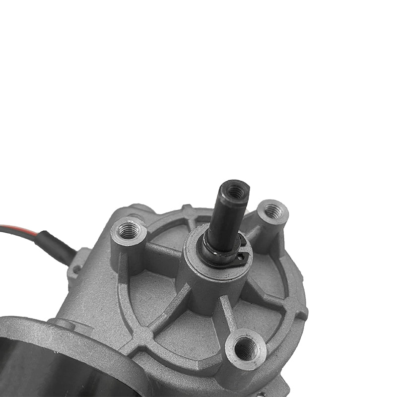 Small 49mm Size Engine 12 Volt 100rpm 200rpm 24V Low Speed Electric Brushed DC Motor With Gear